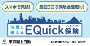 EQuick保険