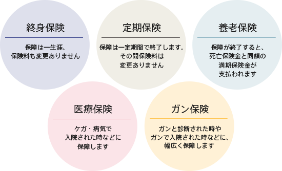 生命保険の種類